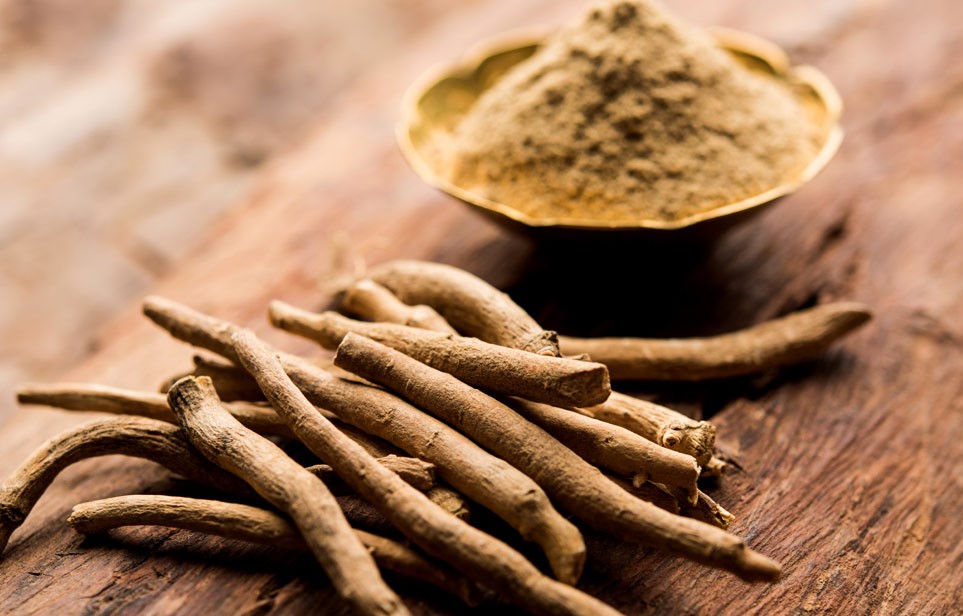 Ashwagandha i 7 korzyści zdrowotnych jej stosowania