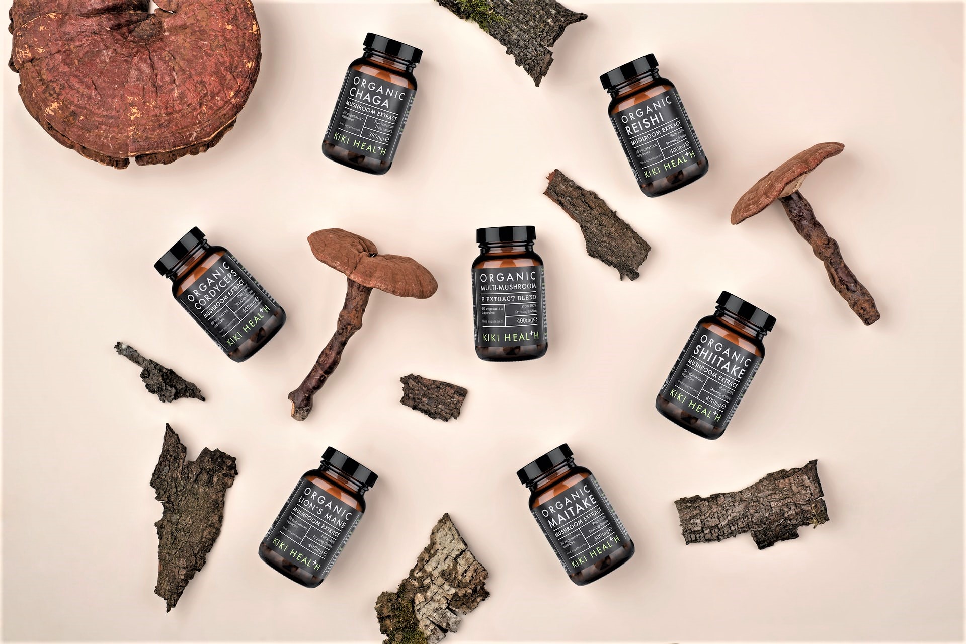 Grzybobranie, czyli na tropie adaptogenów