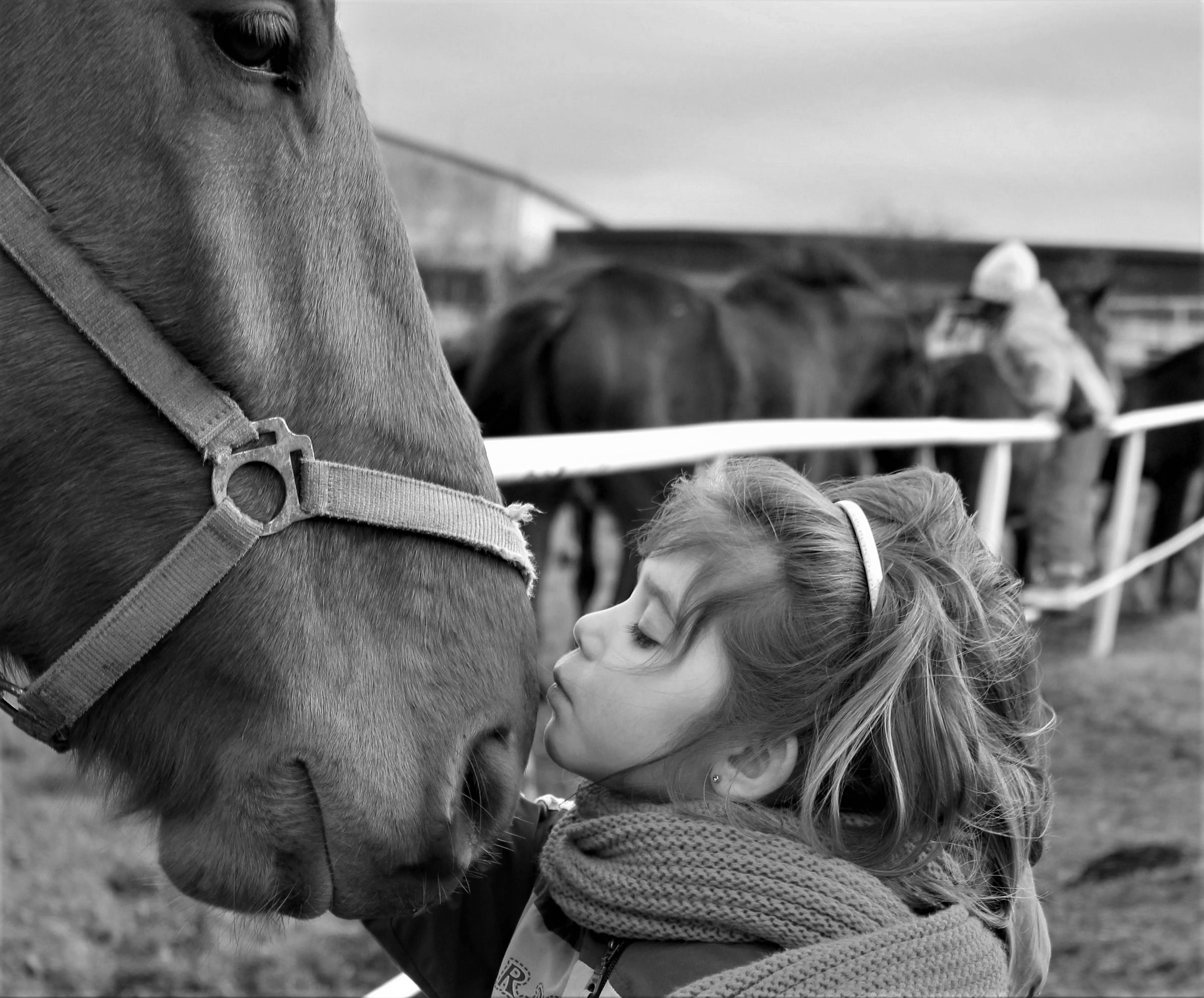 Hipoterapia. Dużo więcej niż nauka jazdy konnej