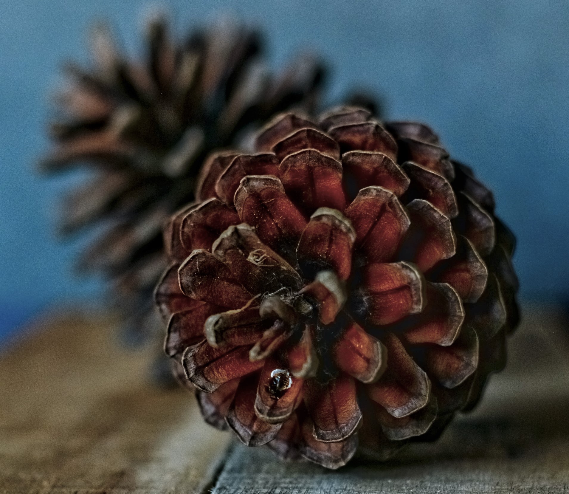 Pani Szyszka najlepszą towarzyszką podróży!