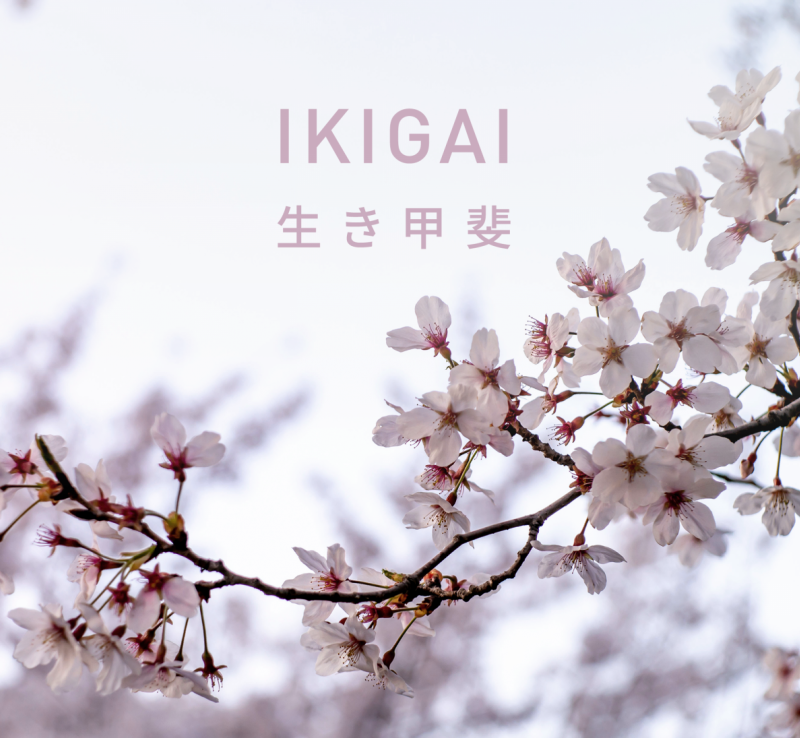 IKIGAI. Sekret długiego i szczęśliwego życia
