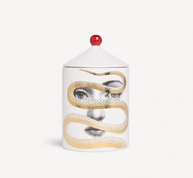 Zakazany owoc Fornasetti