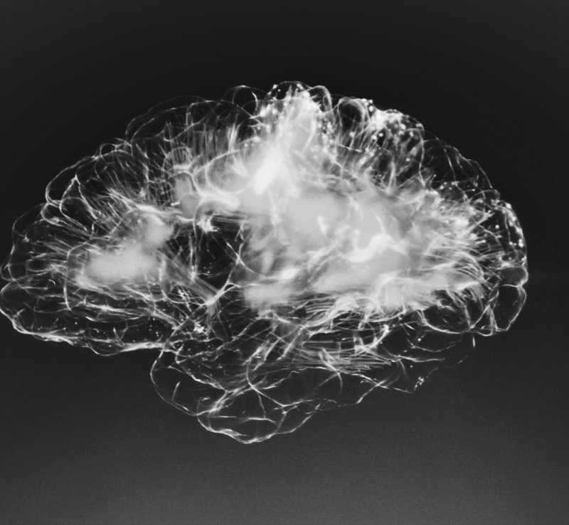 Mózg nie służy do myślenia