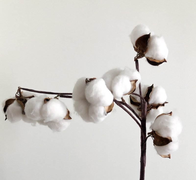 Japońska bawełna delikatna i miękka jak jedwab