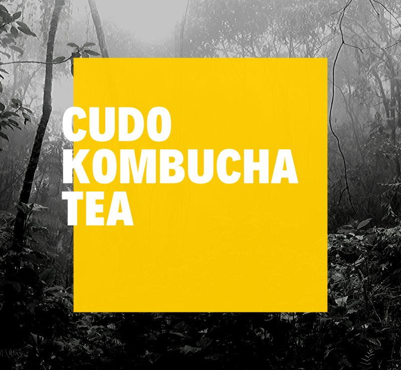 CUDO KOMBUCHA. Lekko musuje i świetnie smakuje