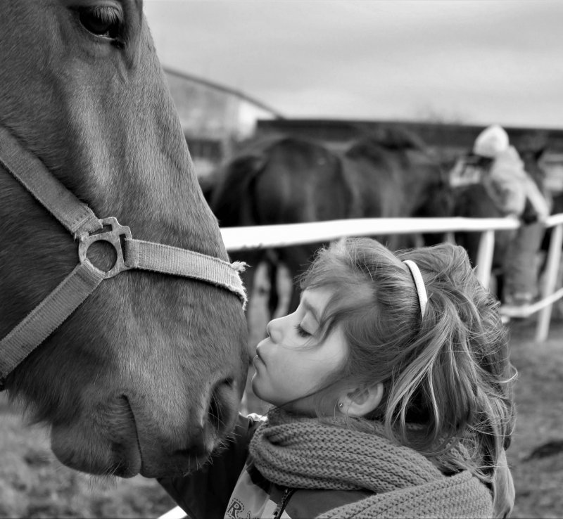 Hipoterapia. Dużo więcej niż nauka jazdy konnej