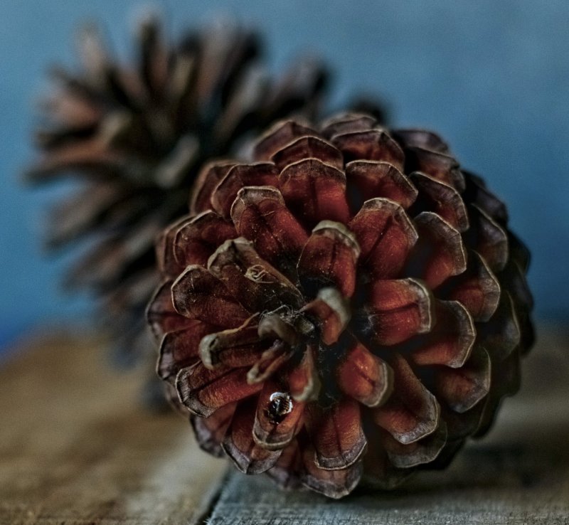 Pani Szyszka najlepszą towarzyszką podróży!