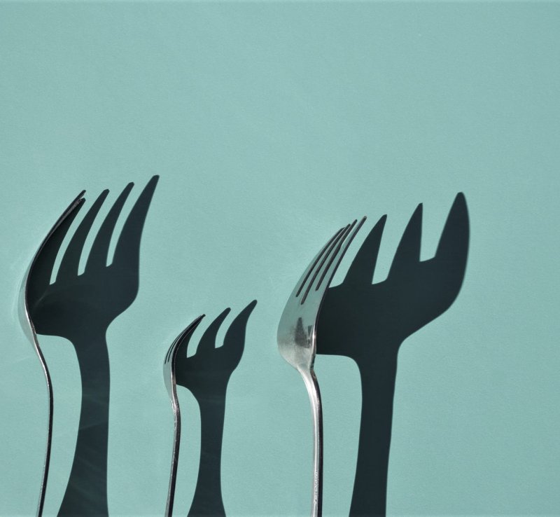 Odchudzanie z głową, czyli trać kilogramy bez głodu